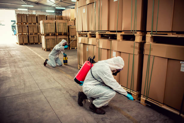 Best Cockroach Control Services  in Barre, VT