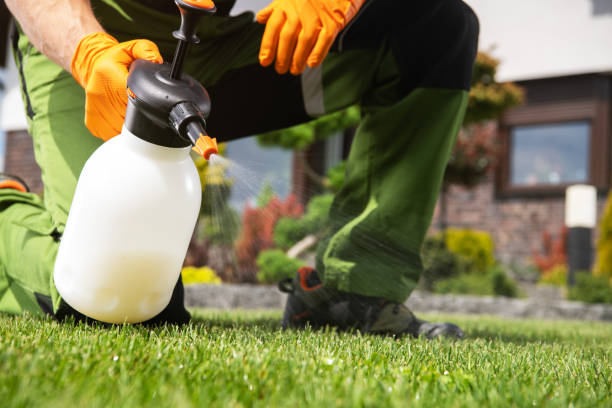 Best Affordable Pest Control Services  in Barre, VT