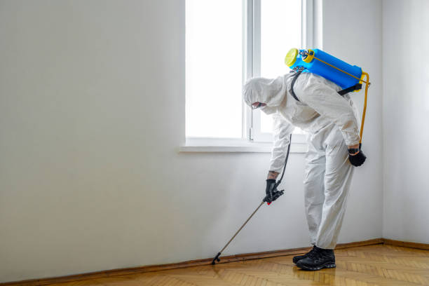 Best Termite Control Services  in Barre, VT
