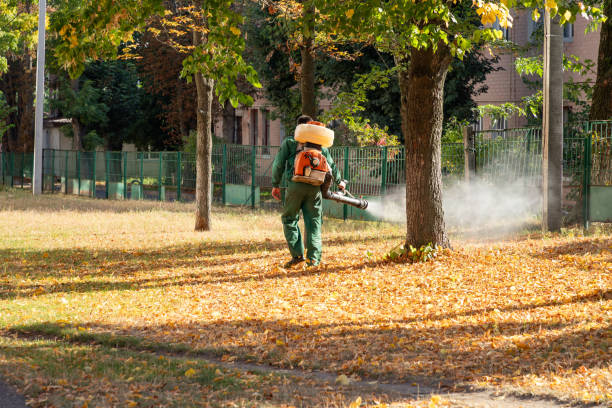 Wildlife Control Services in Barre, VT