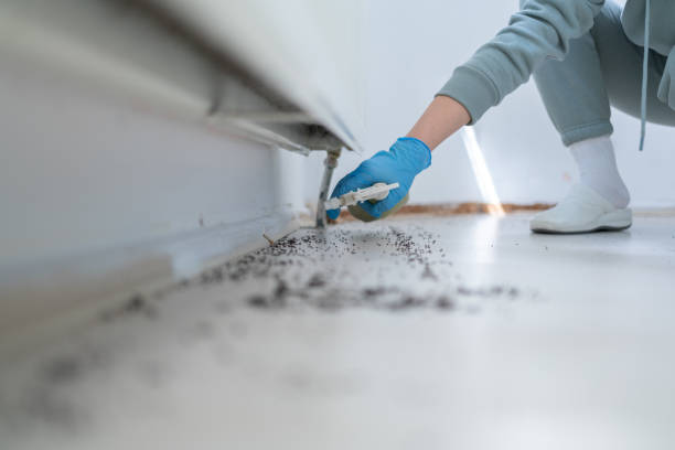 Best Exterminator Services  in Barre, VT